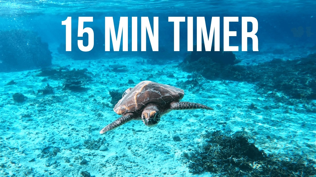 15 Minute Timer With Music | Relaxing & Peaceful | Underwater Ocean Sea Life Countdown 4K
