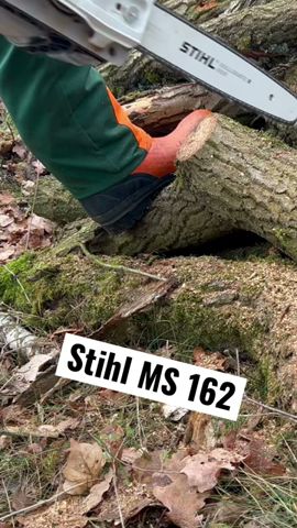 Stihl MS 162 #stihl #motorsäge