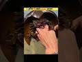 ऐसे जानवर जिन्हे जिंदगी मे एक बार जरूर देखना 😱 #shorts #facts #viral #animals