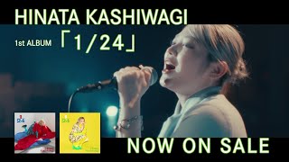 柏木ひなた - 1/24 [SPOT]