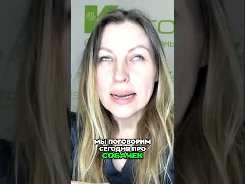 Хроническая диарея у