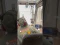 Emergency Tree Removal