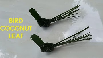 Hướng dẫn làm con chim bằng lá dừa | Thủ công lá dừa