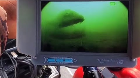 Câu cá camera  ,câu soi ,chỉnh độ phân giải trước khi xem : HD