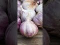 Restaurateur Patrick Guilbaud interview