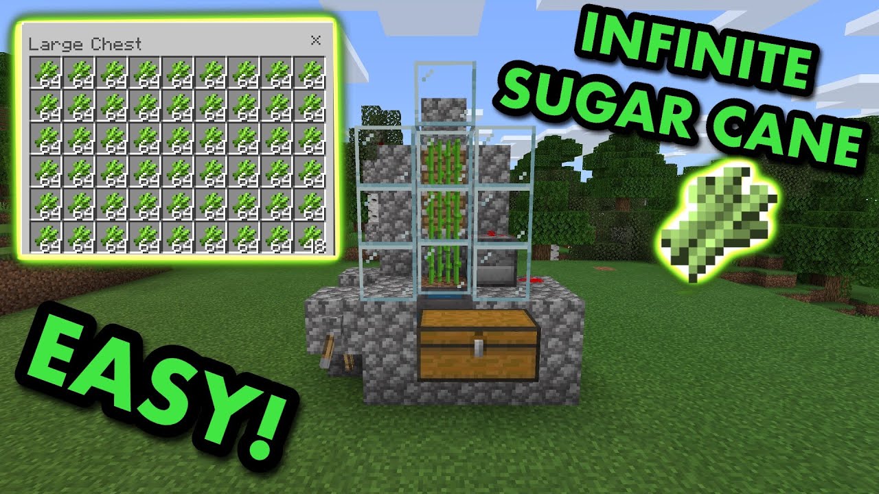 SIMPLE 25.257 FAST AUTOMATIC SUGARCANE FARM TUTORIAL in Minecraft Bedrock  (MCPE/Xbox/PS25/Switch/PC)