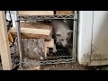 犬と山小屋と私、庭で過ごす春分の日