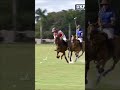 These ponies are in a league of their own!👋👋