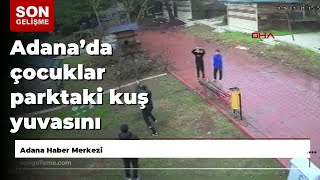 Adana’da çocuklar parktaki kuş yuvasını parçaladı: o anlar kamerada