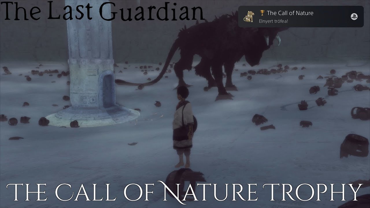 The Last Guardian - Lifeline Trophy Guide 