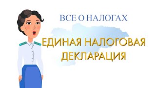 Единая налоговая декларация - Все о налогах Кыргызстана