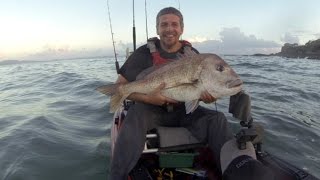 20Lb Snapper Pulled From The Wash