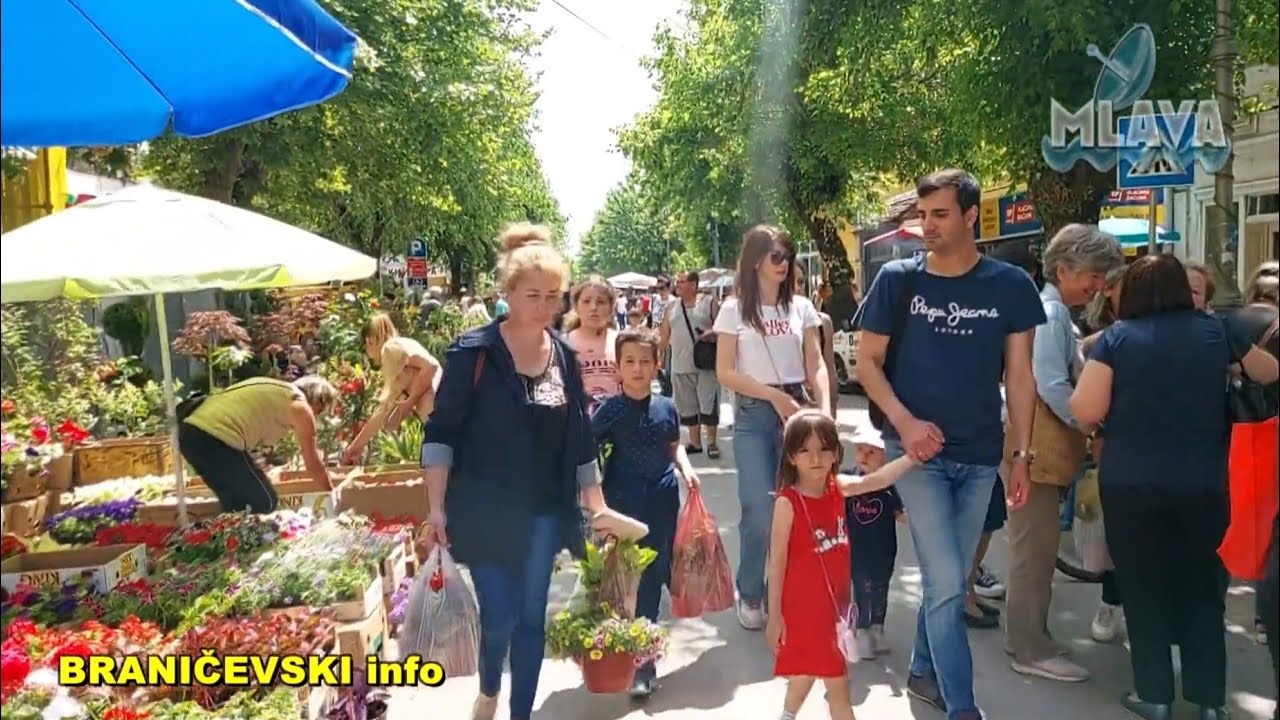 10. PROLEĆNI FESTIVAL CVEĆA u Petrovcu na Mlavi  (RTV MLAVA 14.05.2022.)