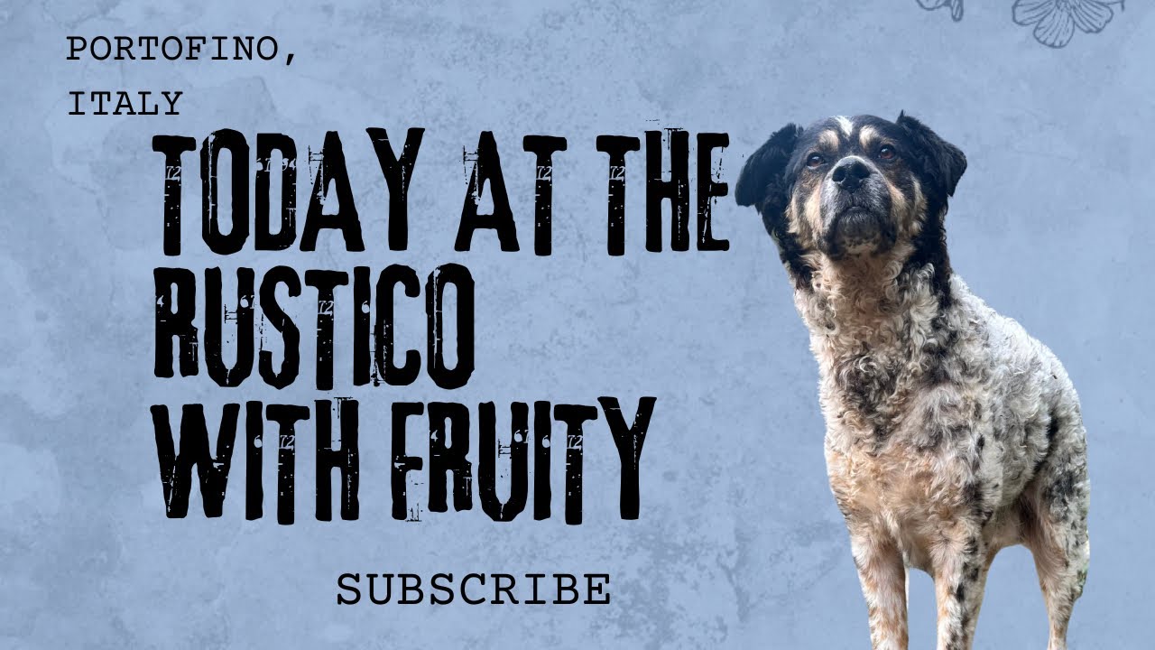 Today At The Rustico With Fruity