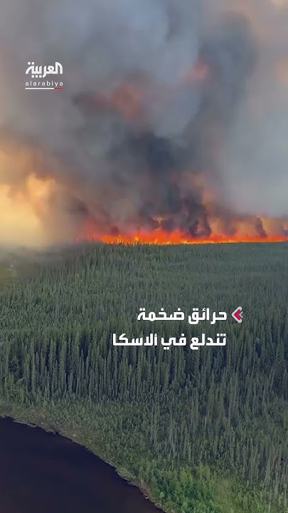        
 - نشر قبل 7 دقيقة