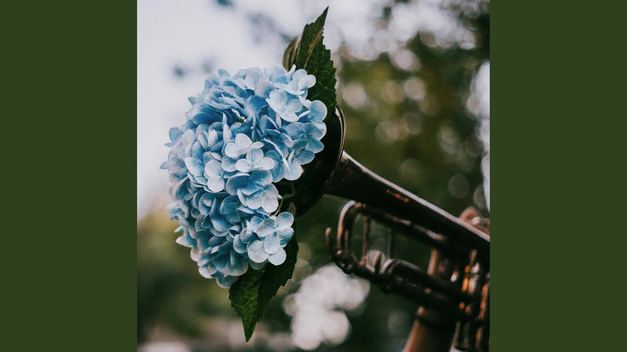 Watch NEVER CATCH A BREAK on YouTube Watch NEVER CATCH A BREAK on YouTube