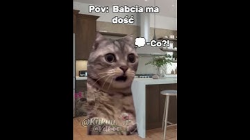 Thumbnail of Babcia ja nie śpię ja sr@m 😂 #cats #śmieszne#greenscreen #cat #trend#memes#funny#memy #catmeme