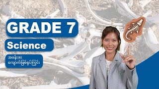 GRADE 7 / SCIENCE အခန်း(၈)-ကျောက်ဖြစ်ရုပ်ကြွင်း