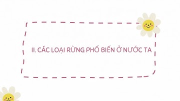 Bài 4  Giới thiệu chung về rừng Xem video lí thuyết