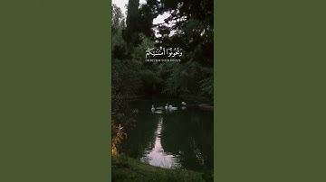 ايات قرانية جميلة 💕 تلاوات هادئة 🕊 حالات واتساب قرانية ✨👩✨ Statut WhatsApp 2022