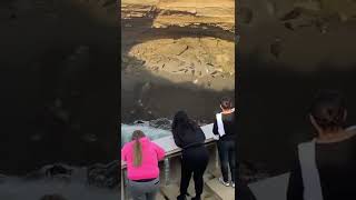 La lobera, Ensenada Baja California #Lobera #ensenada #viral