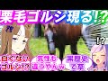 幼少期の史実ゴールドシップが色々と衝撃的すぎたことに対するみんなの反応集【ウマ娘プリティーダービー】