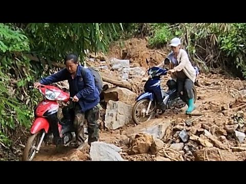 Video: Lub tsev maus taus: tswv yim rau kev ua. Yuav ua li cas yuav ua rau ib tug maus taus nrog koj tus kheej txhais tes?