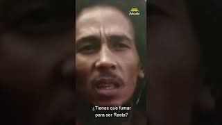 ¿Tienes que fumar marihuana para ser un Rasta? Bob Marley responde - Reggae en PelaGatxs