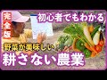 農薬・肥料使わず、土も耕さない、多様な作物を育てる「自然農法」3つのルールとは？ 畝（うね）つくりから種まきまで 【完全版】