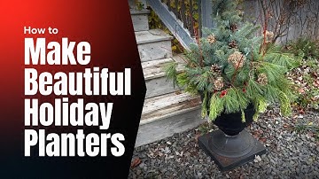 Make Beautiful Winter Porch Containers: Tips for Stunning Seasonal Displays🎄