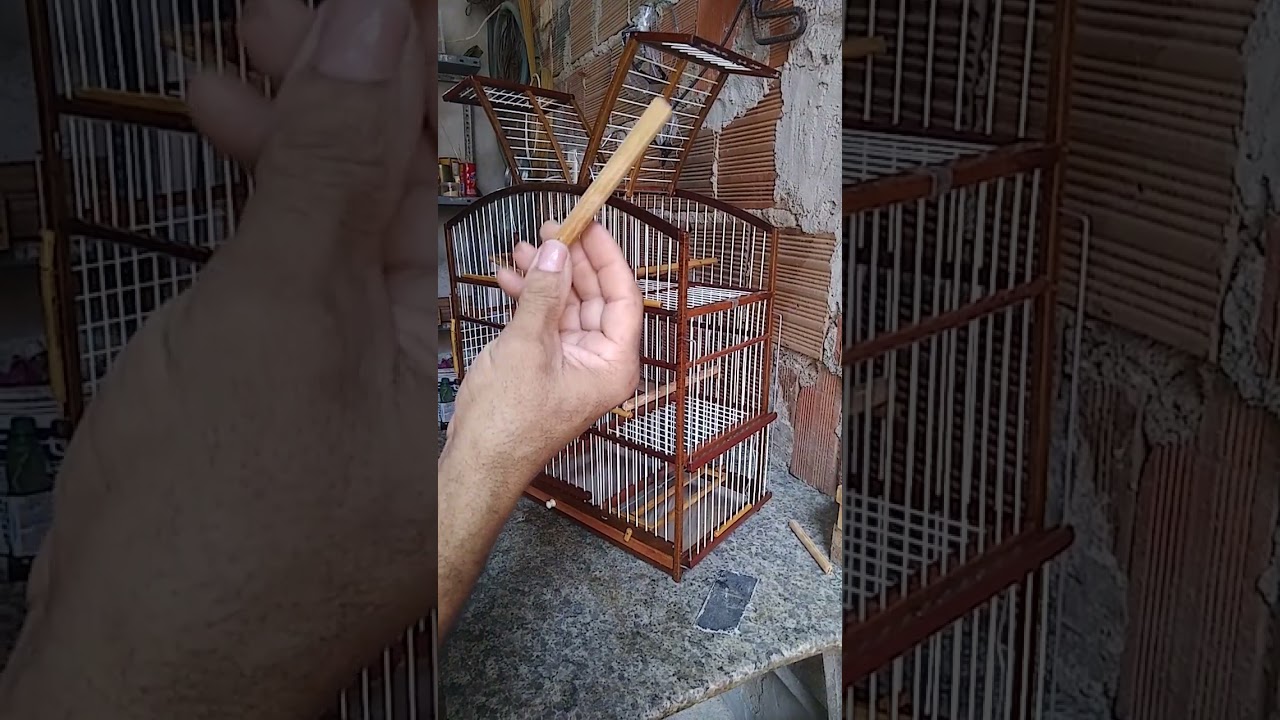 gaiola pegadeira com 4 Alçapoes 2 bocas   em L   e 2 guiliotina top de linha ZAP 85 99229_1699