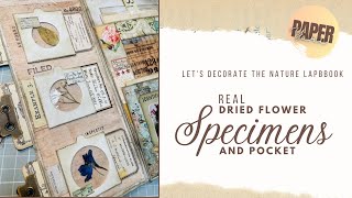 Real Dried Flower Specimens and Pocket - Let's Decorate the Nature Lapbook Part 7