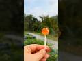 Gia đình vui vẻ, cùng qòa cam ớt cay bí ẩn và các loại nước sốt cà phê, thơm ngon