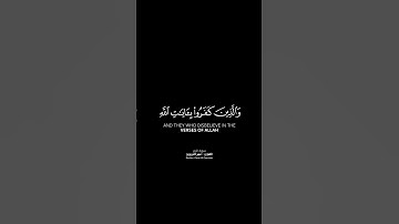 الله خالق كل شيء وهو على كل شيء وكيل شاشة سوداء | كرومات قرآن كريم بصوت #عمر_الدريويز |#سورة_الزمر