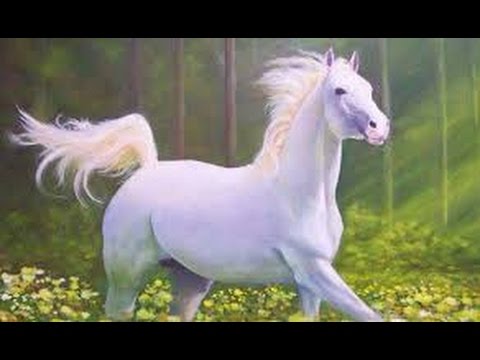 تفسير حلم رؤية الحصان او الفرس و الخيل بالمنام Youtube