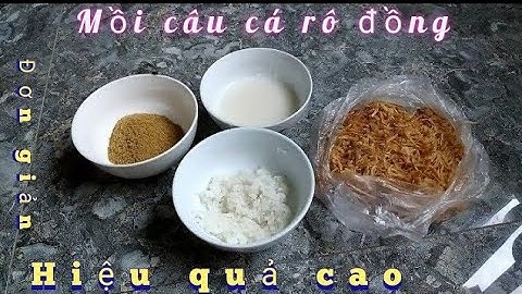 mồi câu cá rô đồng ( rô đầu vuông) hiệu quả cao nhất