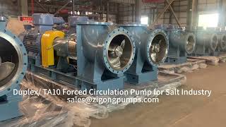 Duplex / Titanium Forced Circulation Pump for Salt in MVR MEE Evaporators 