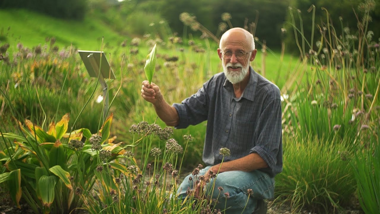 Åpningen av et av verdens største løksamlinger - Allium seminar på Ringve Botaniske hage Trondheim