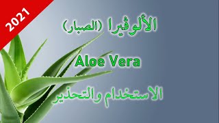 Aloe Vera فوائد واستخدام وتحذيرات نبتة الالوڤيرا