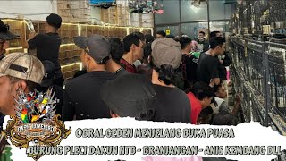 Download Lagu OBRAL GEDEN MENJELANG BUKA PUASA !!! BURUNG PLECI DAKUN NTB - BRANJANGAN - ANIS KEMBANG DLL MP3