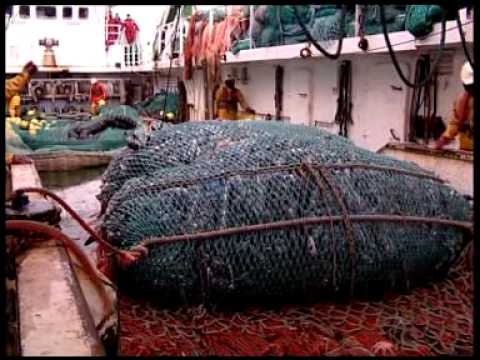 GBR_17_Oct_04_Bottom_Trawling.mpg