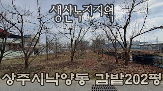 900232 상주시 낙양동.감밭 208평 생산녹지지역. 6m 도로 접. 매매가1억4천