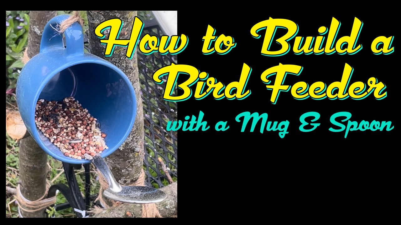 How to Make a Bird Feeder, a Budget Friendly Dollar Tree DIY Project
