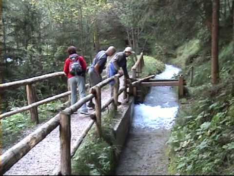 Štěpkovač za auto Štěpkovač za auto