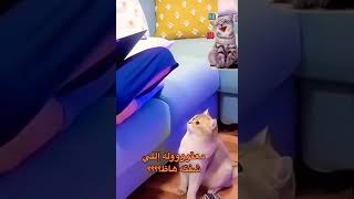 نكتة حساسة نكت مضحكة جدآ