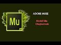 Adobe Muse Tutorial | 10 Mobile Site Oluşturmak