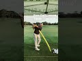 Free Golf Lesson Under 1 Minute Swing Under the Noodle!