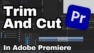 How to Trim and Cut in Adobe Premiere Pro CC | Adobe Tutorial