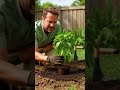 99% People Water Plants Wrong! Try This Simple Gardening Trick at Home