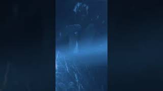 IMG 2209